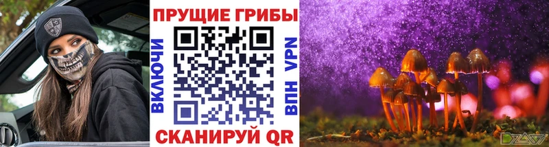 Галлюциногенные грибы MAGIC MUSHROOMS  Купить  Шебекино 